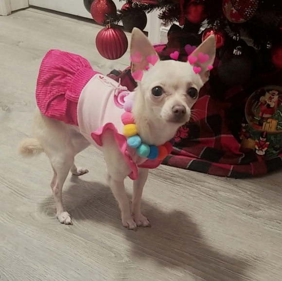 ๐ค๐ฎ๐ธ๐ฆโ ๐ค๐ฎ๐ธ๐ฆโ ๐ค - Picture 13 of 16